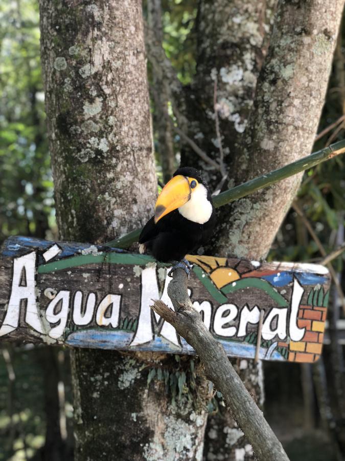 Fazenda Morro Pelado Hotell Águas de Lindóia Eksteriør bilde